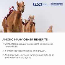 Troy Vitamin C Injection 100ml