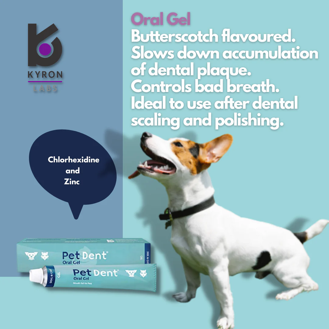 PetDent® Oral Gel 60g