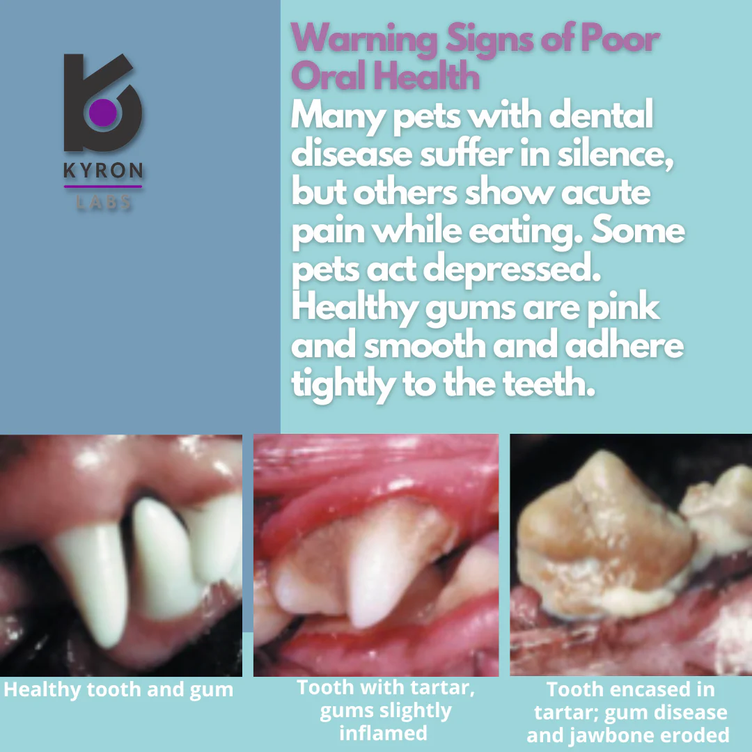 PetDent® Toothbrush